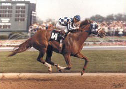 thoroughbred3.jpg